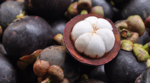 Tiêu chí chọn măng cụt