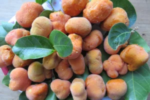 Lịch sử và giá trị văn hóa của quả chay